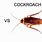 Beetle vs Cockroach