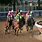 Belmont Stakes Horses Pictures