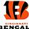 Bengals B Logo