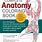 Best Anatomy Coloring Book