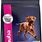 Best Large Breed Puppy Food