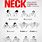 Best Neck Workouts
