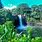 Big Island Hawaii Waterfalls