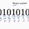 Binary System of Numbers