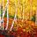 Birch Tree Forest Painting