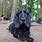 Black Basset Hound Puppies