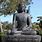 Black Buddha Statue