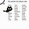 Black Cat Names for Boys