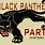 Black Panther Party Colors