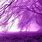 Black Tree Purple Background