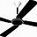Black and White Ceiling Fan