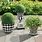 Black and White Outdoor Pots