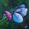 Blue Butterfly Artwork