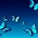 Blue Butterfly HD