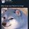 Blue Doge Meme