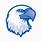 Blue Eagle Logo Design