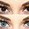 Blue Eye Contacts for Dark Eyes