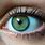 Blue Green Eye Color