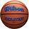 Blue Wilson Basketball