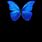 Blue and Black Butterfly Background