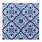 Blue and White Moroccan Tiles