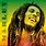 Bob Marley Rasta Music