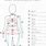 Body Measurement Sheet for Sewing