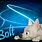 Bolt Dog Wallpaper