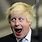 Boris Johnson Face