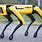 Boston Dynamics Robotic Dog