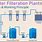 Bottled Water Purification Plant