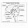 Brain Anatomy Worksheet