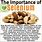 Brazil Nuts for Selenium