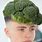 Broccoli Head Haircut Meme