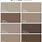 Brown Beige Paint Color