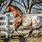 Brown and White Appaloosa Horse