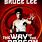 Bruce Lee Way of the Dragon Movie