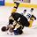 Bruins Hockey Fights