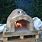 Build a Pizza Oven