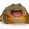 Bullfrog Tongue