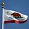CA State Flag