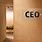 CEO Door Signs Office