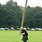 Caber Tossing Silly