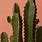 Cactus Desktop