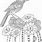 Cactus Wren Coloring Page