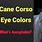 Cane Corso Eye Color