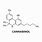 Cannabinoid Molecules