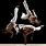 Capoeira Fighting Style