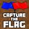 Capture Flag Icon