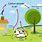 Carbon Cycle Animation